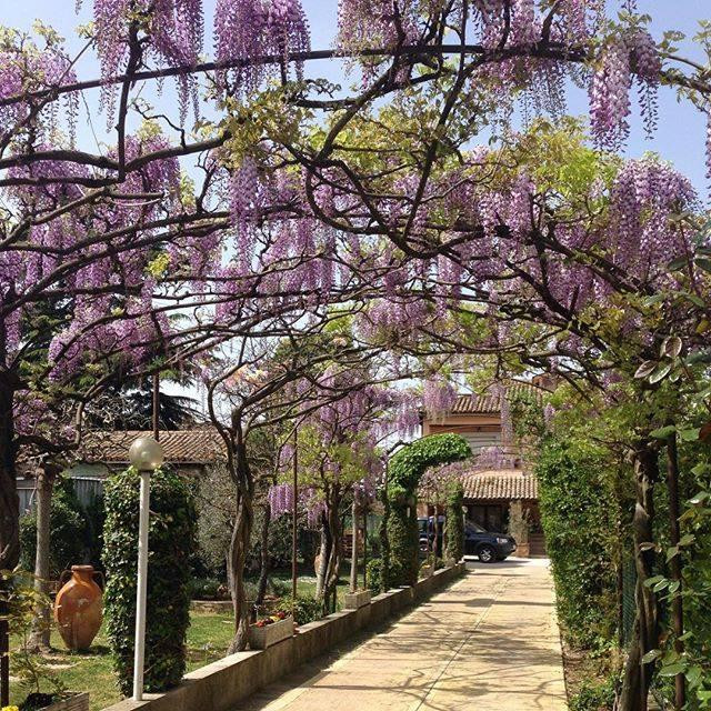 Corvia酒店住宿-Casa de' Trinci B&B