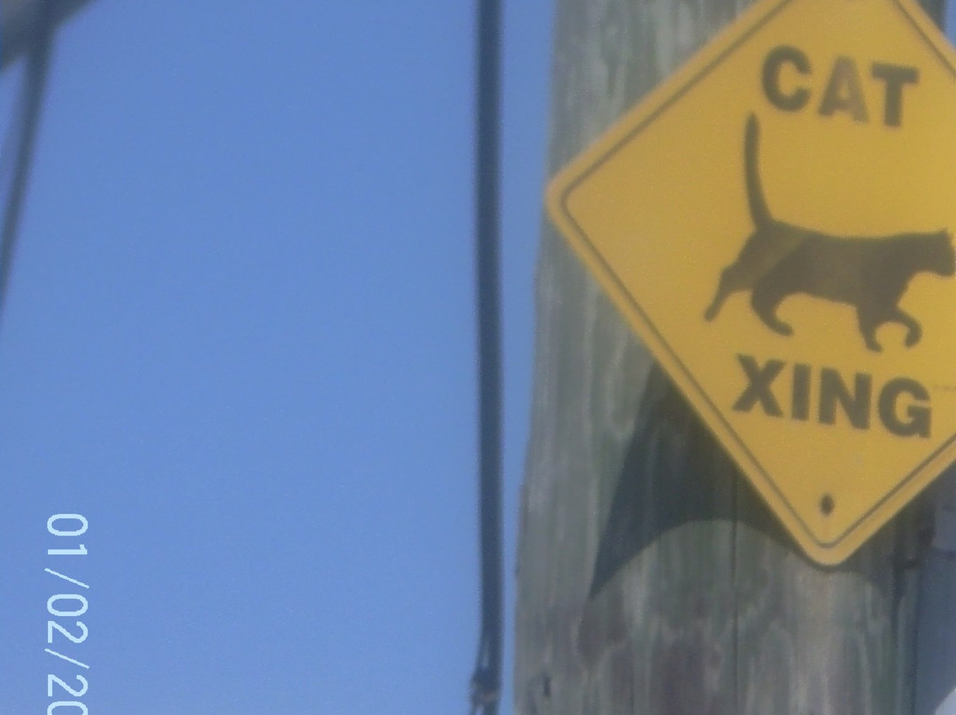 Pigeon Key旅游攻略图片