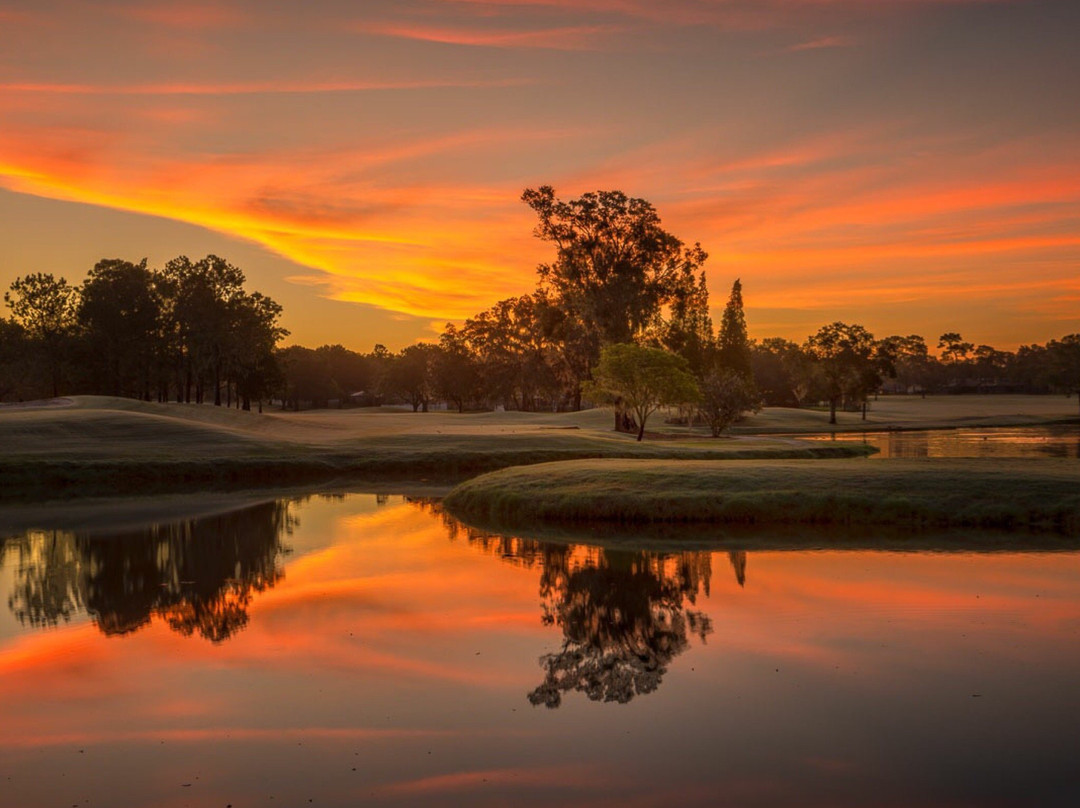 Buckhorn Springs Golf & Country Club-Valrico必去景点