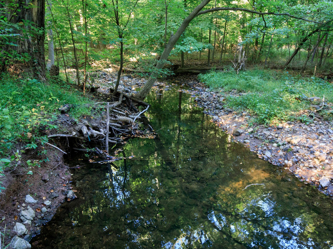 恩格尔伍德旅游攻略图片