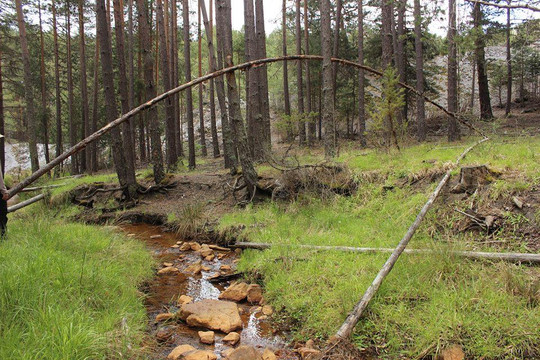 Noguera de Albarracin旅游攻略图片