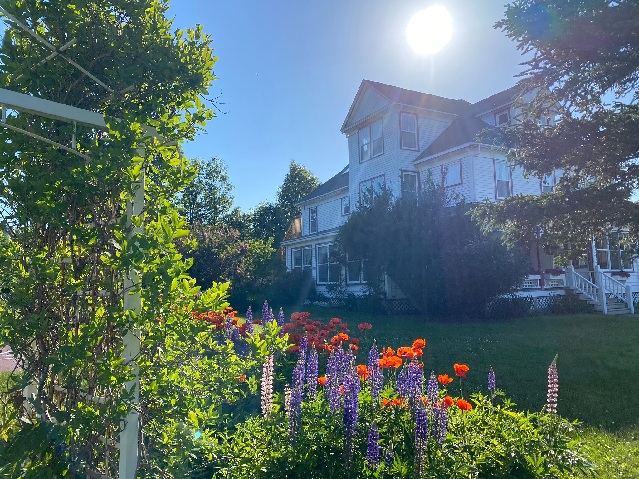 Harbourview Inn-官方