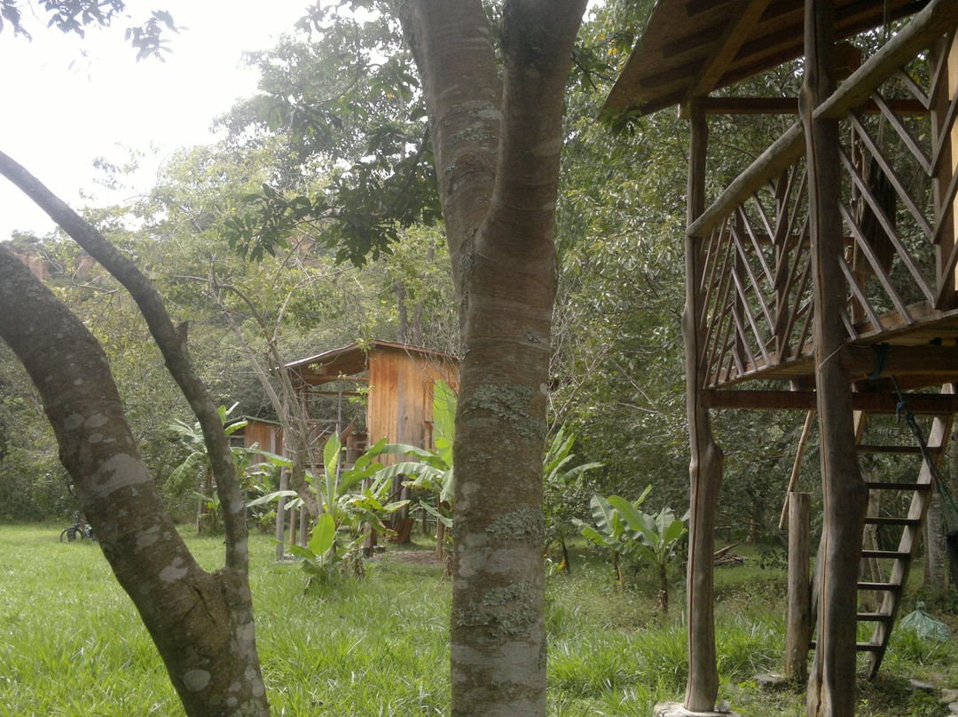 Rumi Wilco Ecolodge
