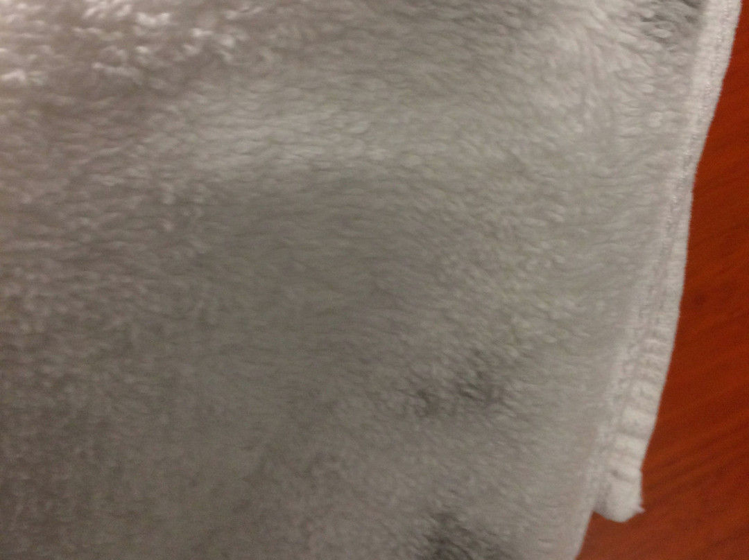 St. Michaels Inn主图