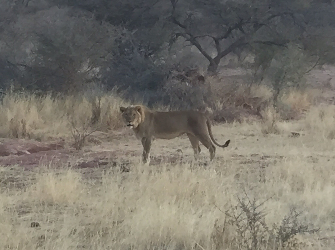 Timbila Camp Namibia