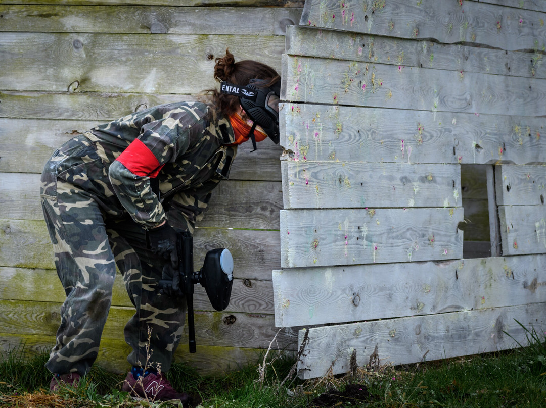 Brzeg Dolny旅游攻略图片