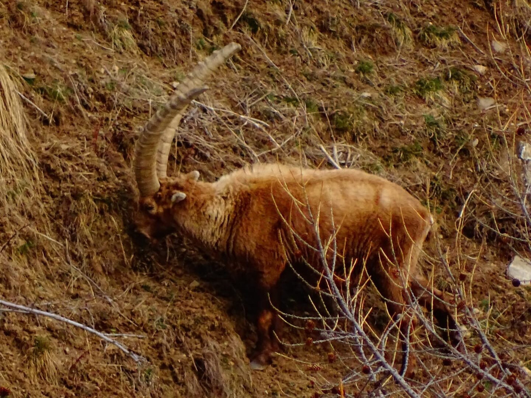 Chateauroux-les-Alpes旅游攻略图片