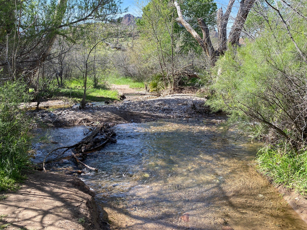 Legends of Superior Trail
