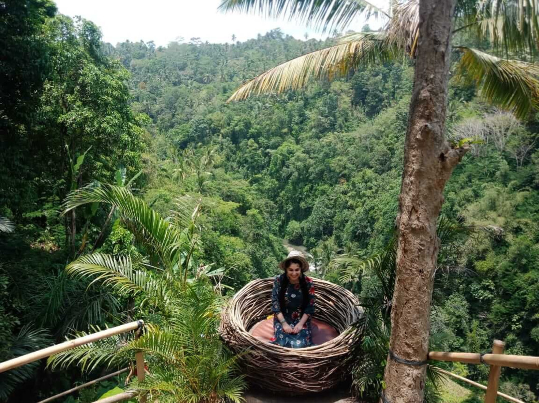 Artha bali tours-乌布必去景点