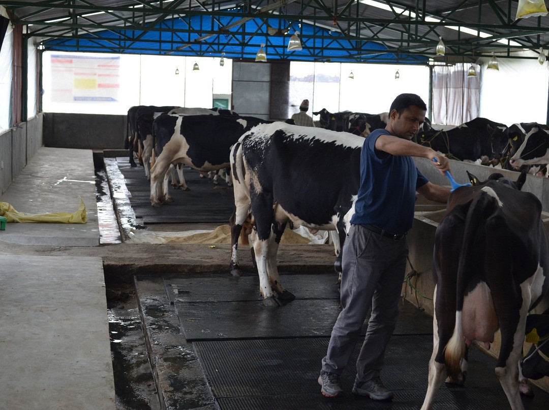 Changunarayan旅游景点-Destination Agro Farm Pvt. Ltd.