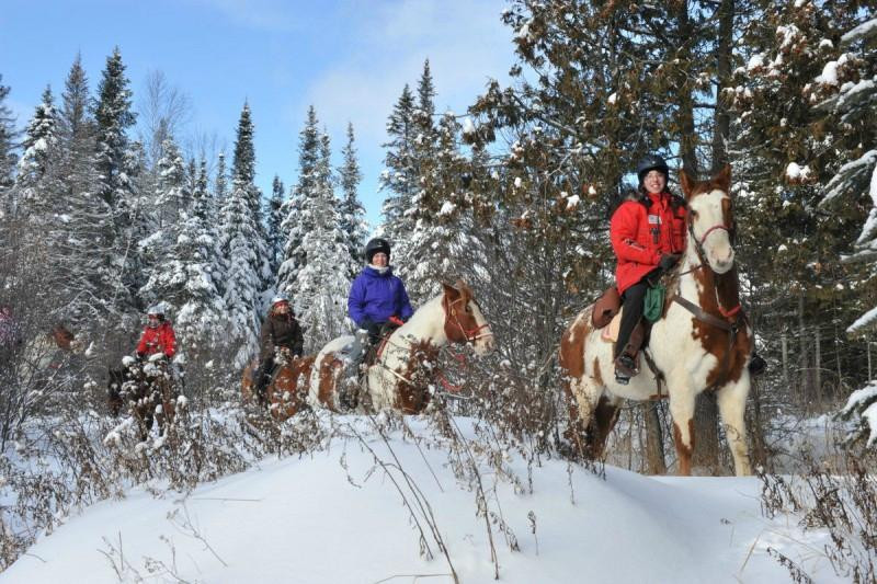 Adirondack Equine Center-普莱西德湖必去景点