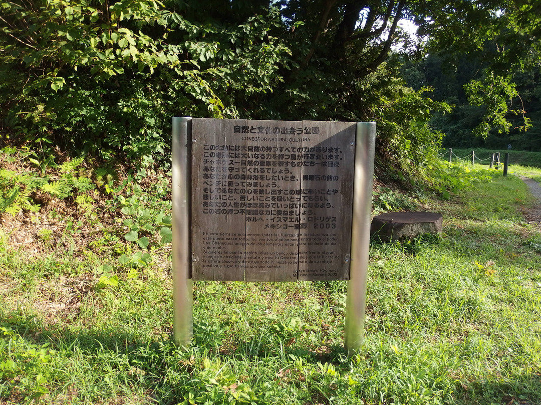 Shirokawa Dam Park-十日町市必去景点
