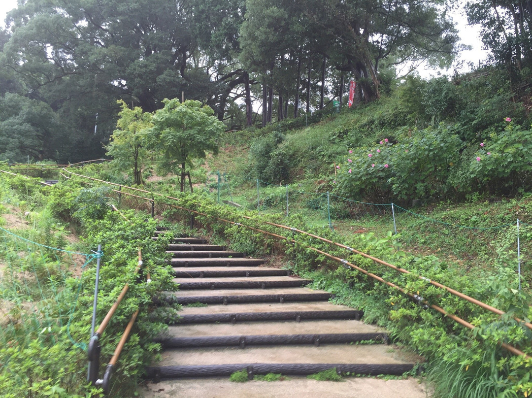 Shimonoseki City Kawatana no Kusu no Mori-下关市必去景点
