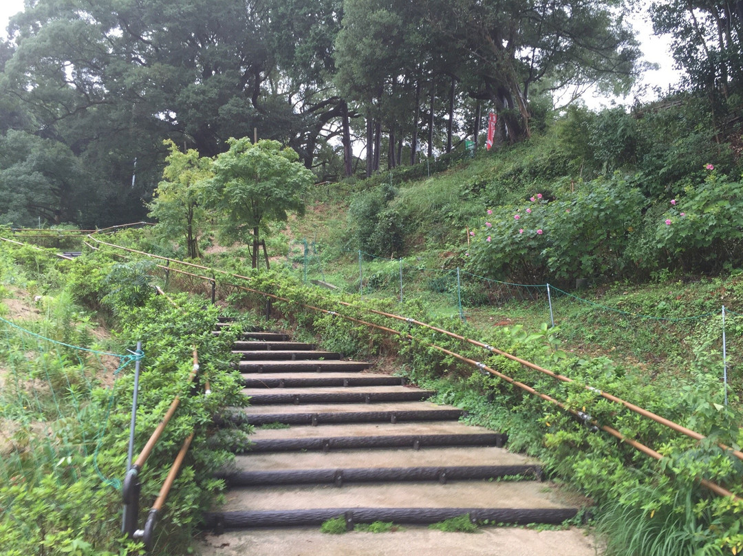 Shimonoseki City Kawatana no Kusu no Mori景点图片