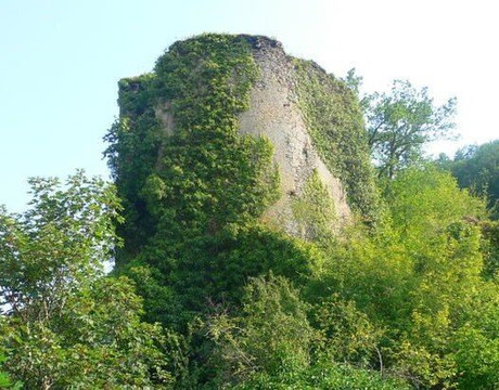 Château De La Roche Guillebaud