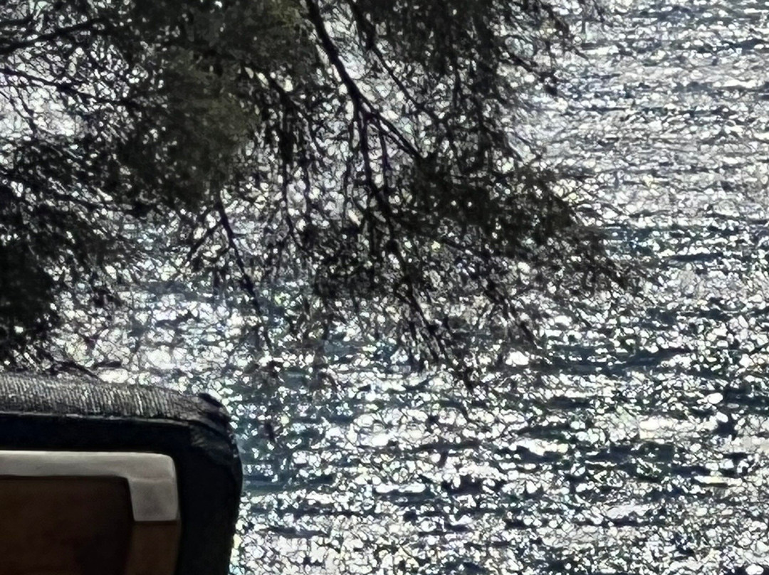 Bianco Beach Restaurant