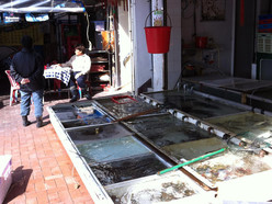 Gallery 1