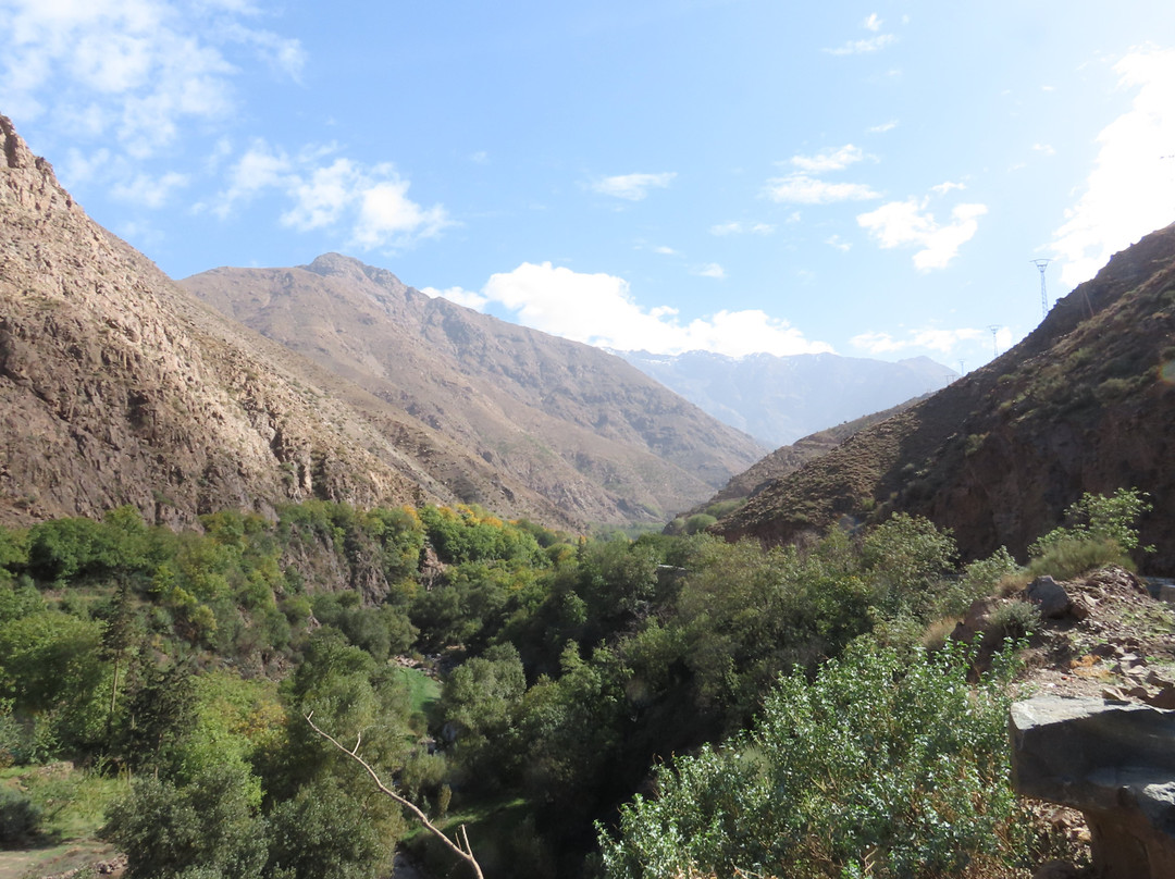 China Odyssey Tours Huangshan-黄山市必去景点