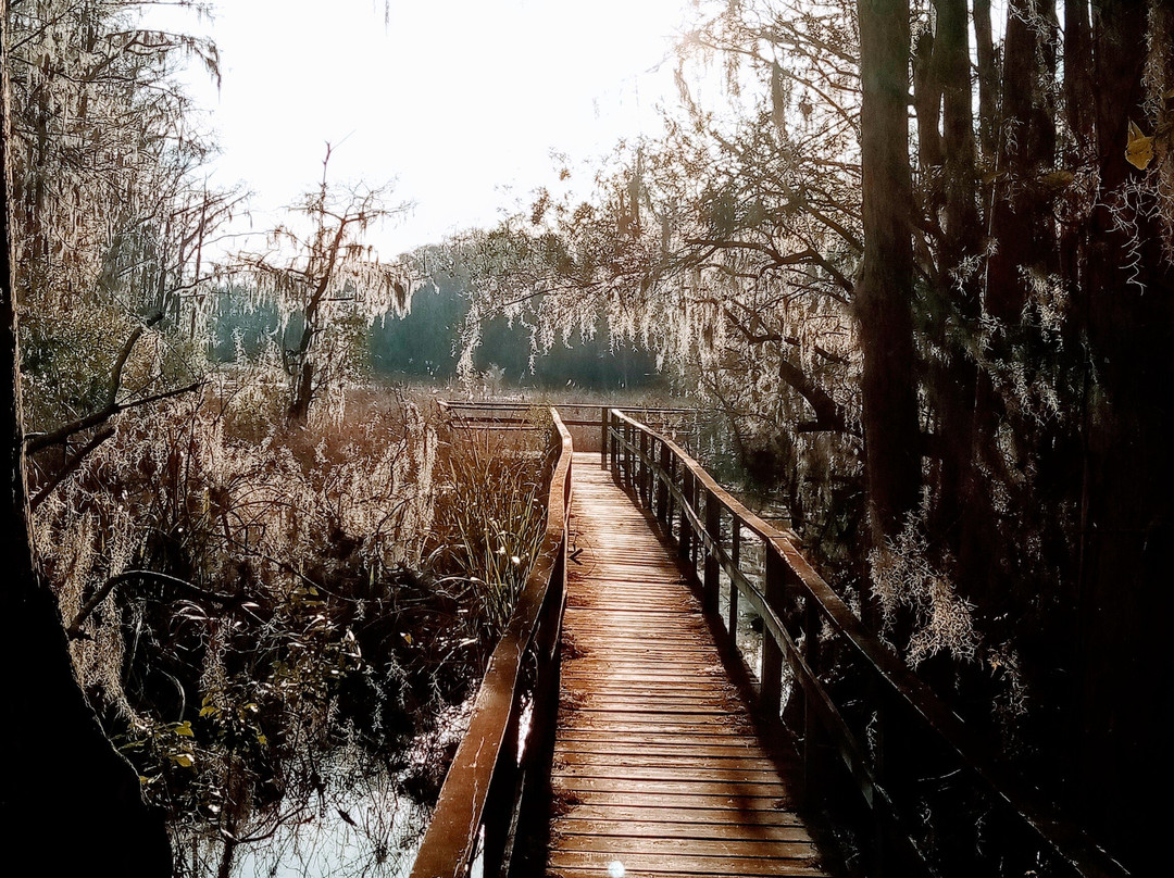 Santee Coastal Reserve景点图片