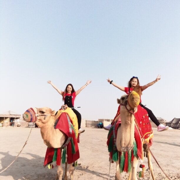 Sealine Beach-Mesaieed必去景点