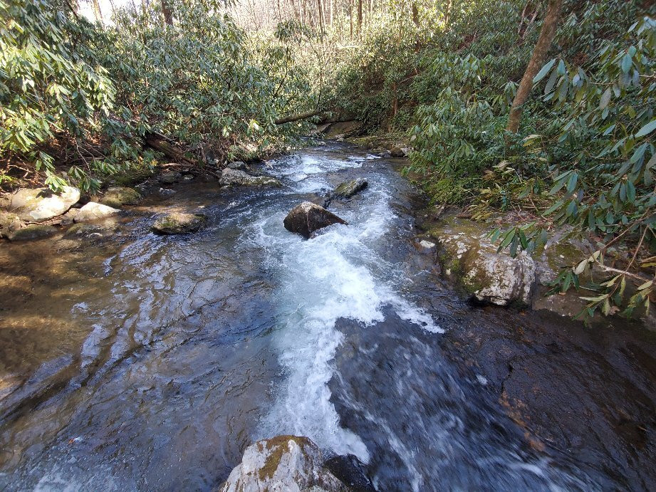 Hemlock Falls Trail-Clarkesville必去景点