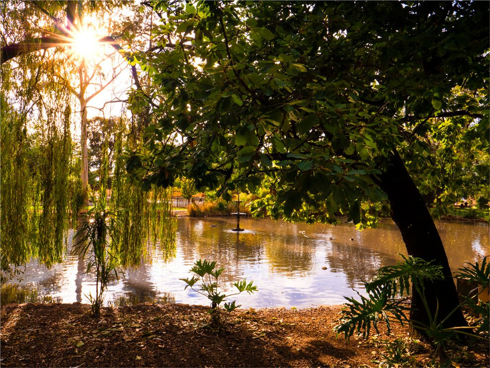 Kings Avenue Motel主图