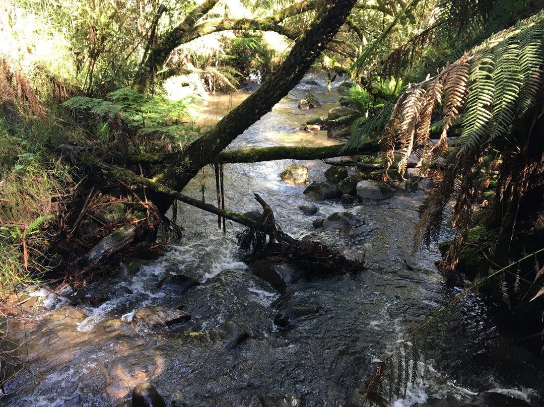 Badger Weir Picnic Area景点图片