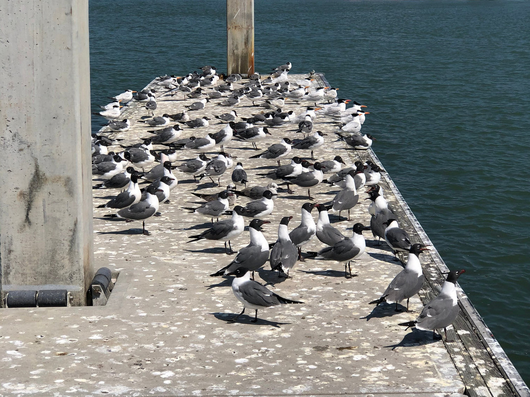 Roberts Point Park-阿兰瑟斯港必去景点