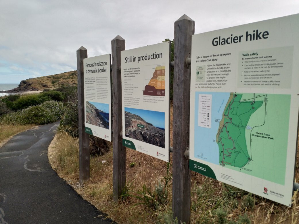 Hallett Cove Conservation Park景点图片