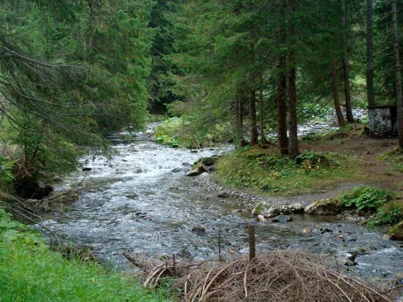 Passeggiata da Pescul al Rifugio Aquileia-Pescul必去景点