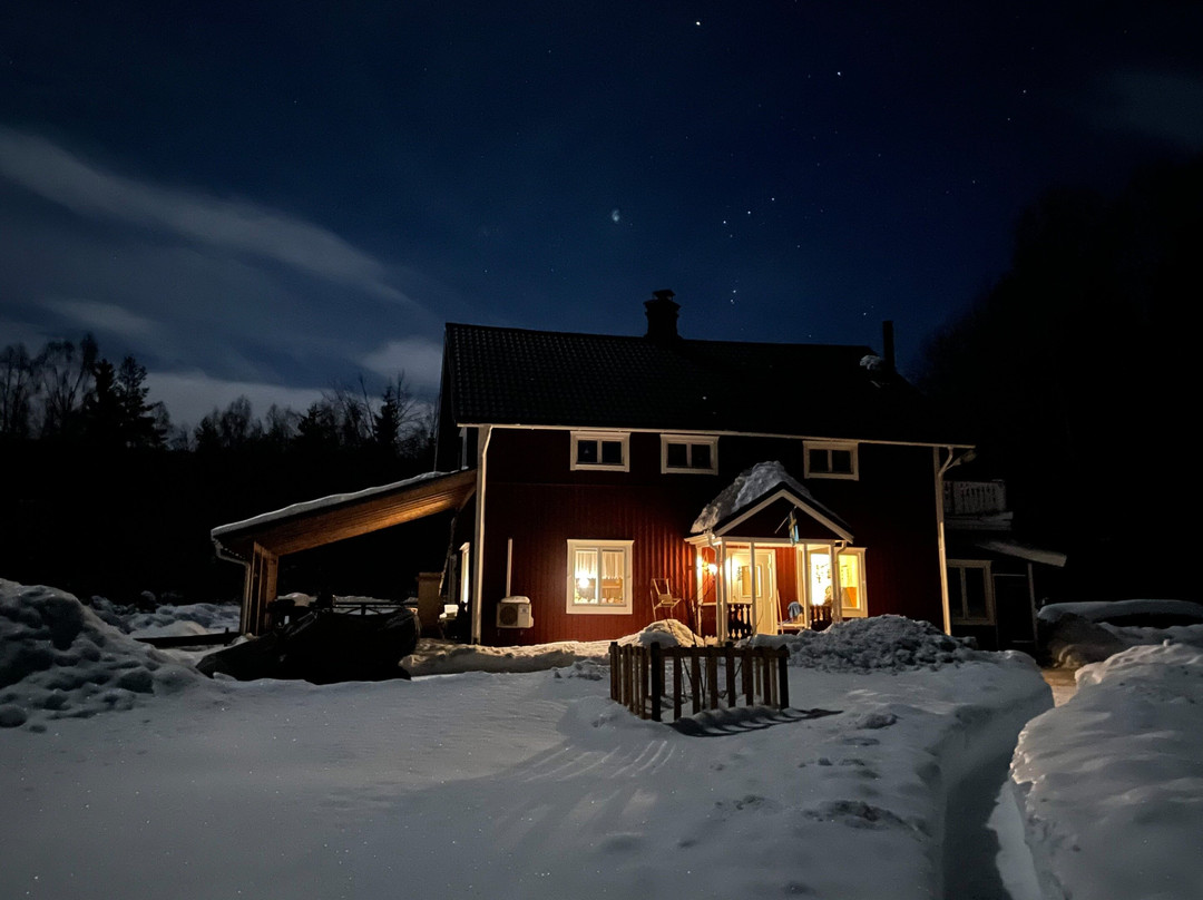 Jämtland Fishing Adventure景点图片