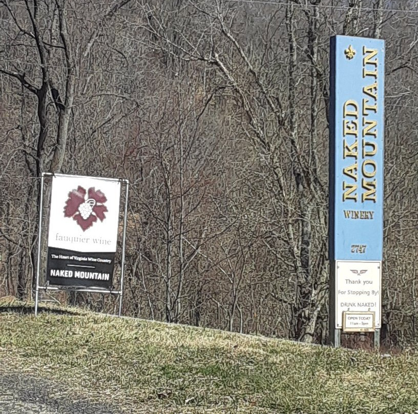 Naked Mountain Winery & Vineyards-Markham必去景点