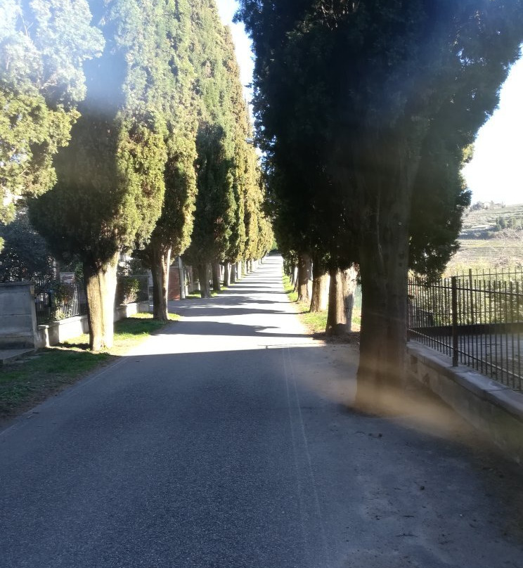 Castello Scaligero d'Illasi景点图片