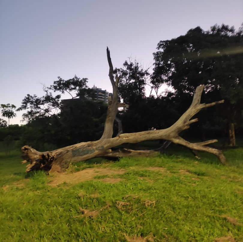 Povo Park-Presidente Prudente必去景点