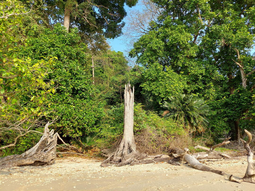 Lalaji Bay Beach-Long Island必去景点