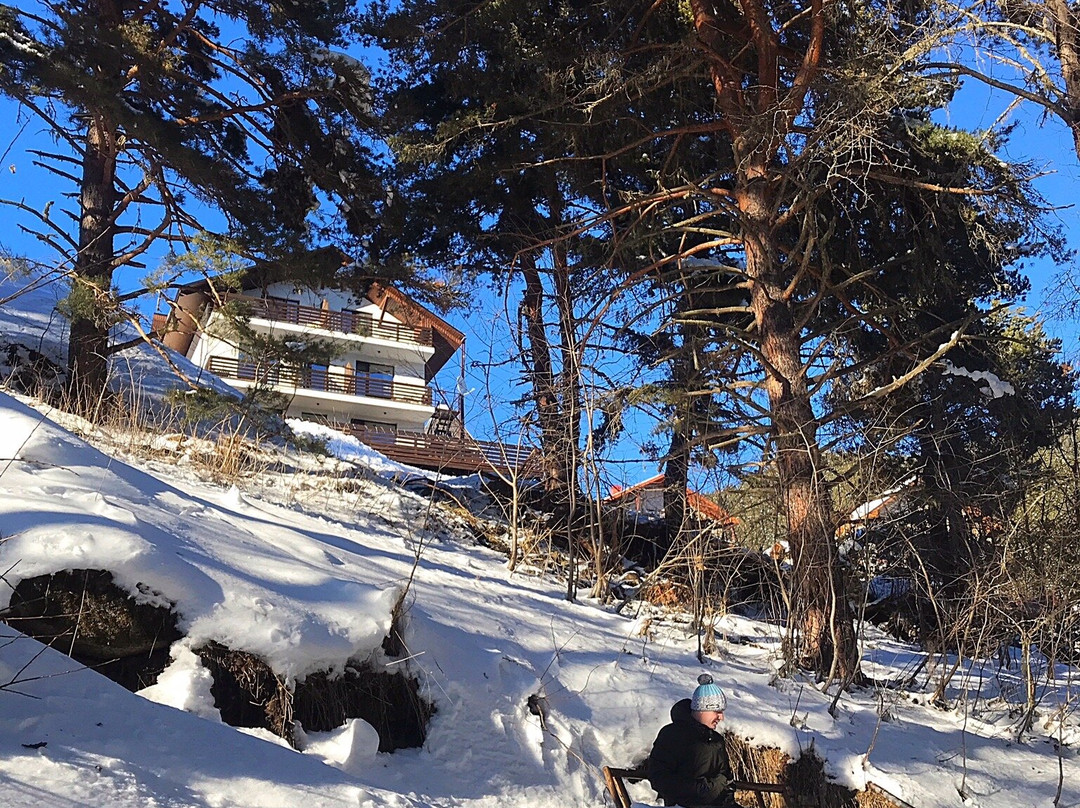 White Peak Hotel主图