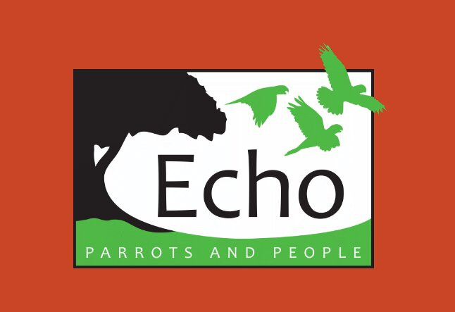 Echo Parrots and People-Rincon必去景点
