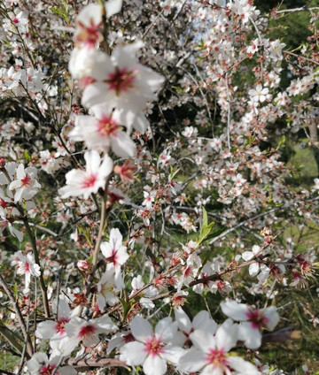 Casa Patata-Galapagar必去景点