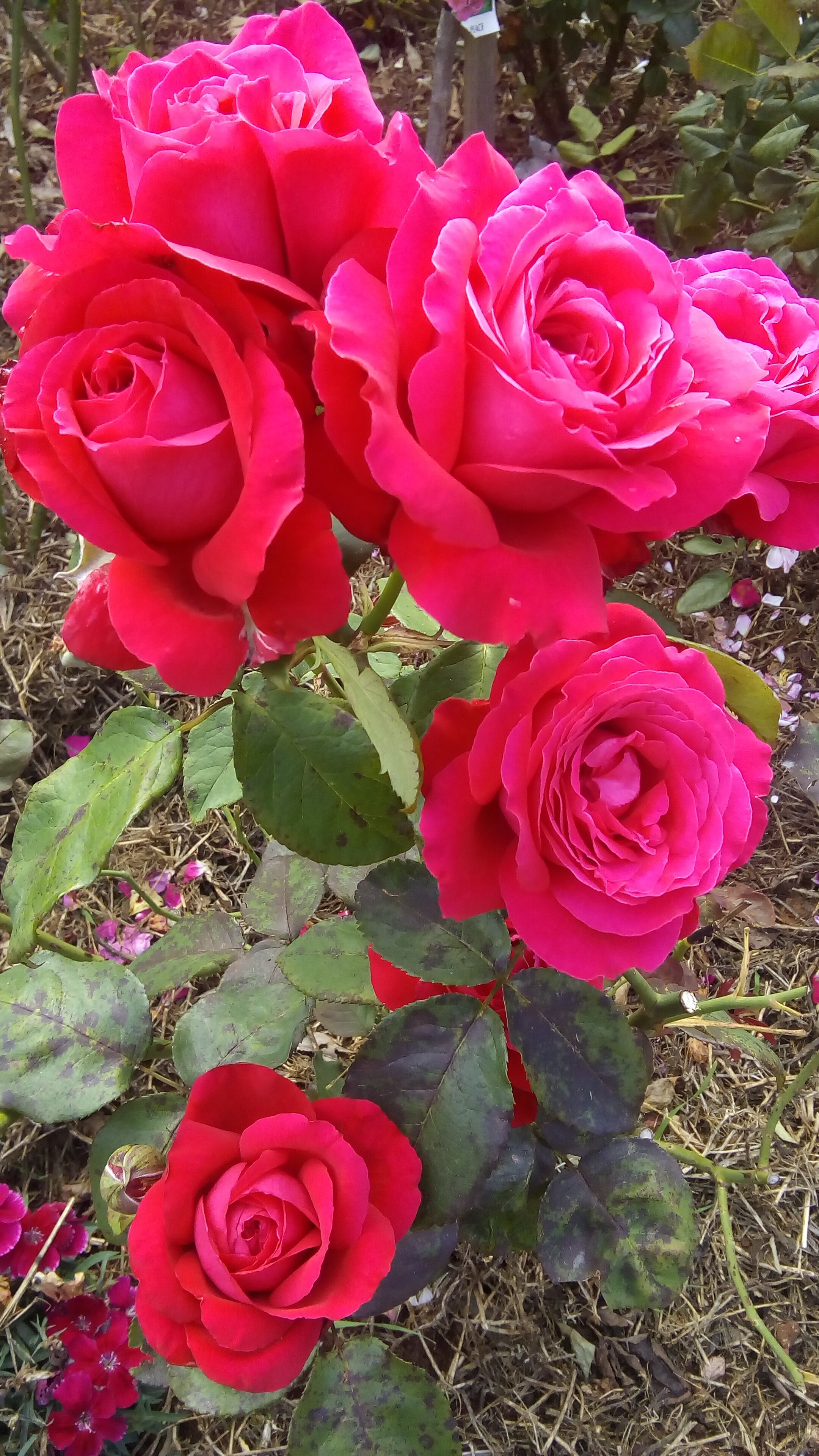 格伦科鲁尔勒尔里特酒店-家庭/游戏区