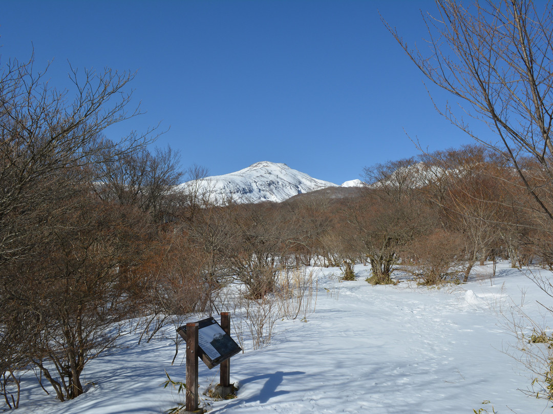 Nasu Heisei no Mori-那须町必去景点