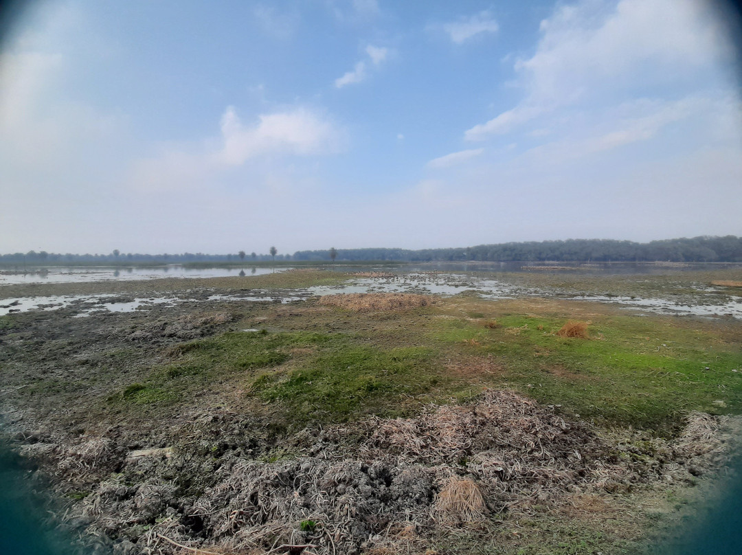 Surajpur Bird Sanctuary景点图片