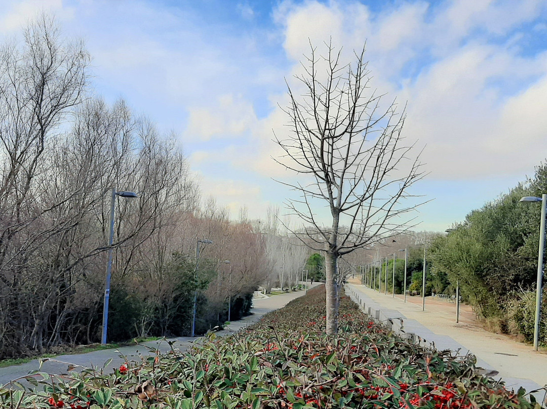 Parc De La Llacuna-Montcada i Reixac必去景点