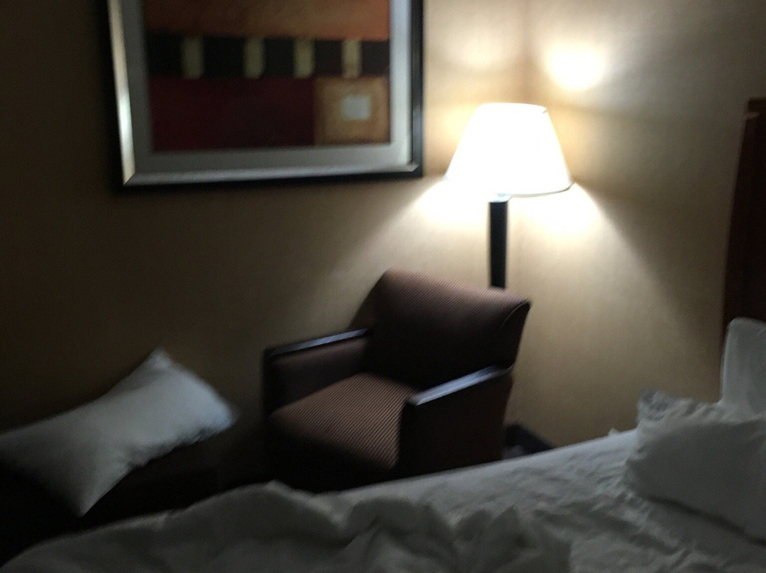 费尔法克斯阿灵顿大道快捷假日酒店主图