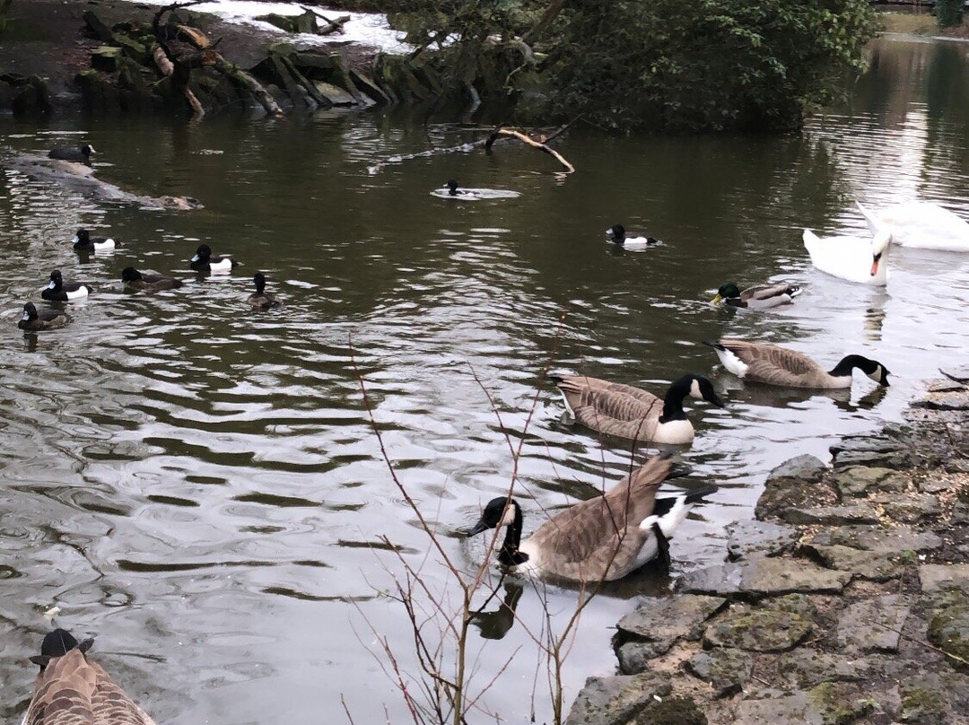 Alexandra Park-曼彻斯特必去景点