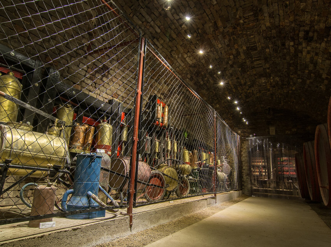 Gal Cellar and Wine Museum景点图片