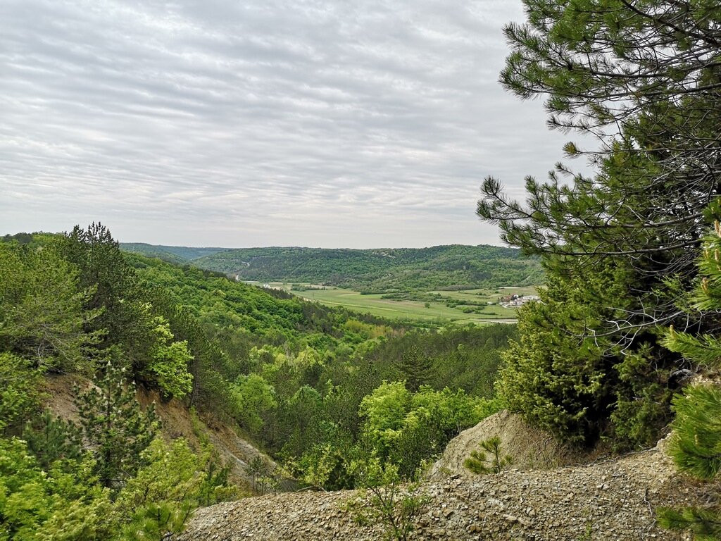 Pazin - Beram - Pazin 711