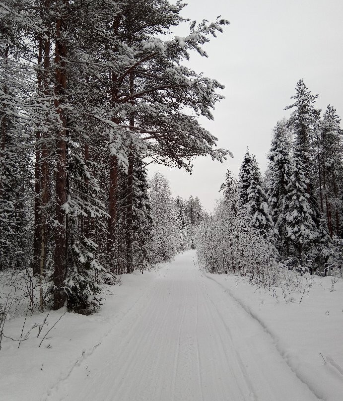 Parpalandia-罗瓦涅米必去景点