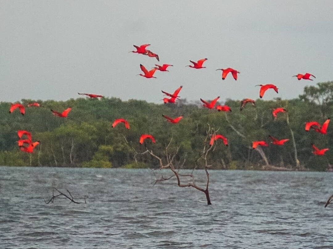 Delta Rio Parnaiba Turismo景点图片