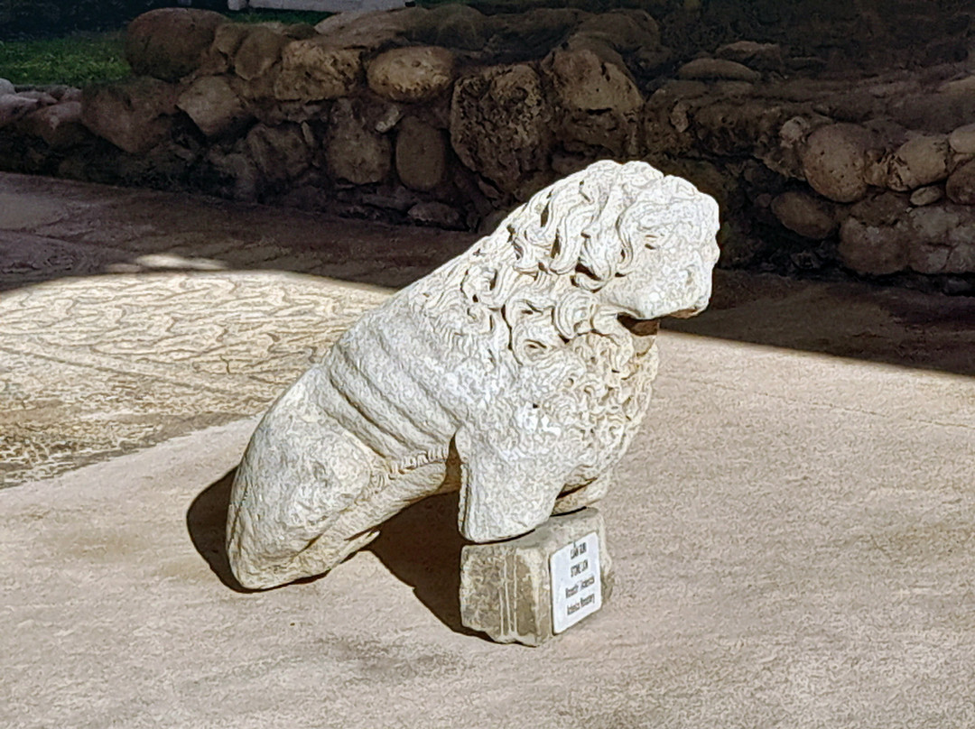 Mosaic of Tirana-地拉那必去景点