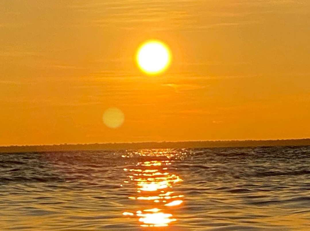 Cururu's Point-Alter do Chao必去景点